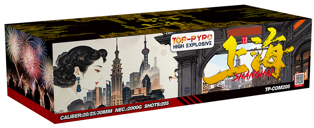 TP-COM205 SHANGHAI  上海